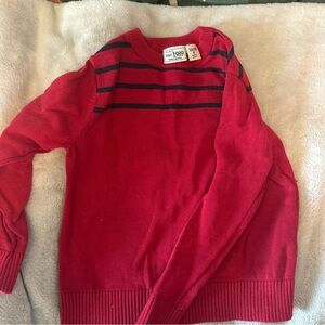 Place Kids Bold Red Sweater with Dark Stripes